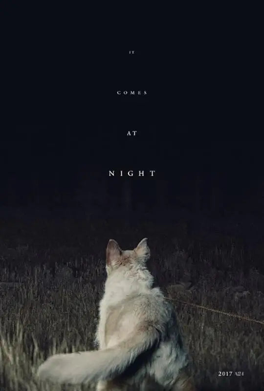 It Comes at Night 2017 movie poster showing a gas‑mask‑wearing figure and a dark red hallway leading to a closed door, evoking isolation, infection, and dread.​​